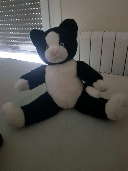 REGALO gato de peluche 2