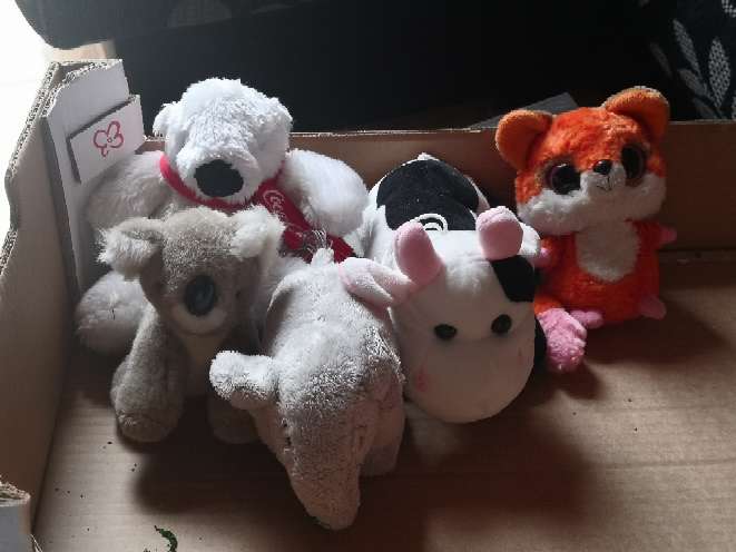 REGALO Peluches 3